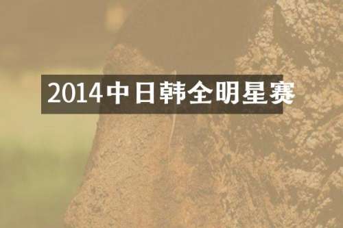 2014中日韩全明星赛