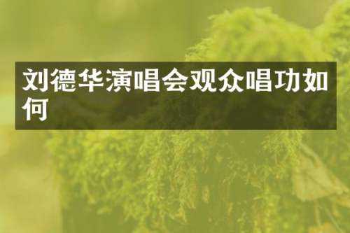 刘德华演唱会观众唱功如何