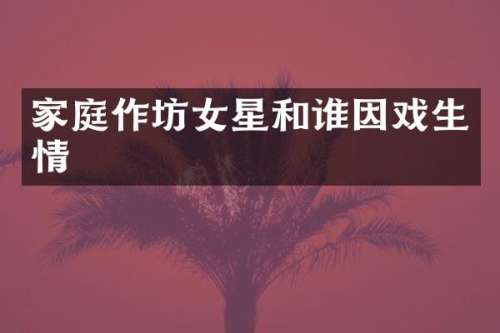家庭作坊女星和谁因戏生情