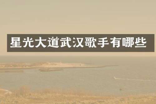 星光大道武汉歌手有哪些