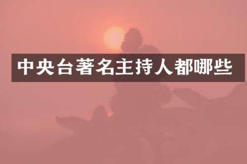 中央台著名主持人都哪些