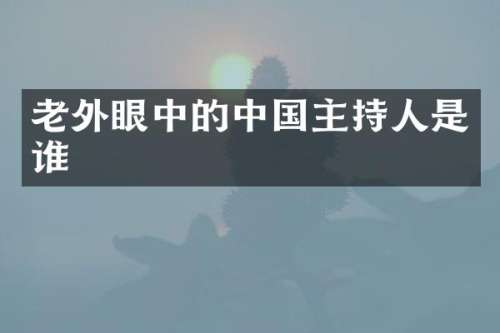 老外眼中的中国主持人是谁