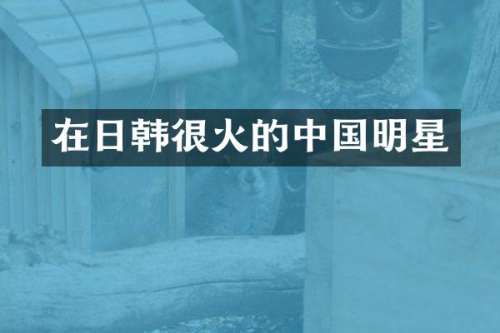 在日韩很火的中国明星