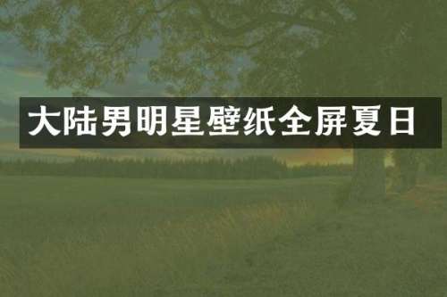 大陆男明星壁纸全屏夏日