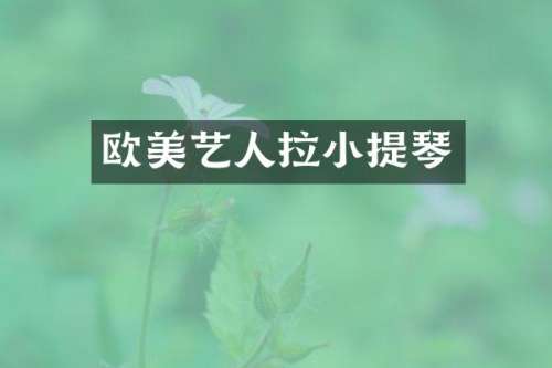 欧美艺人拉小提琴