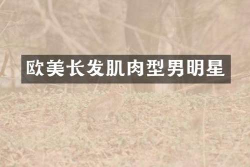 欧美长发肌肉型男明星