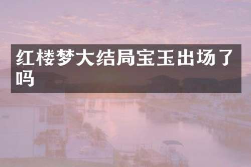 红楼梦大结局宝玉出场了吗