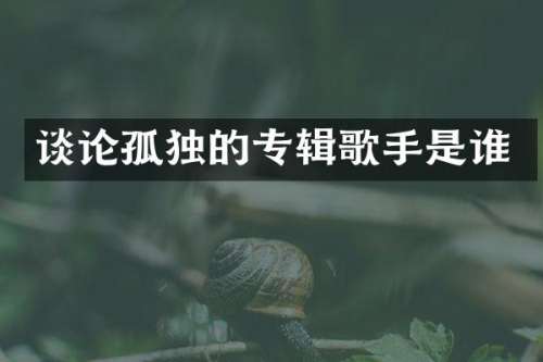 谈论孤独的专辑歌手是谁
