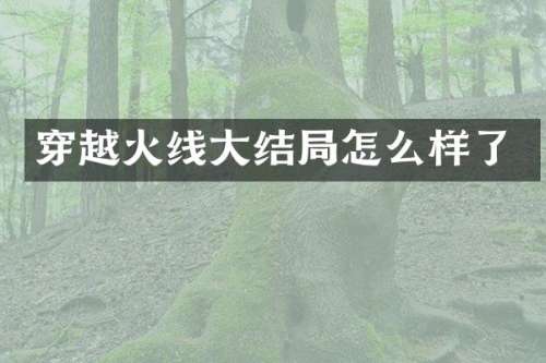 穿越火线大结局怎么样了