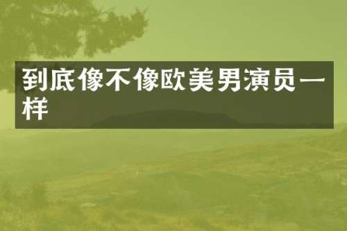 到底像不像欧美男演员一样