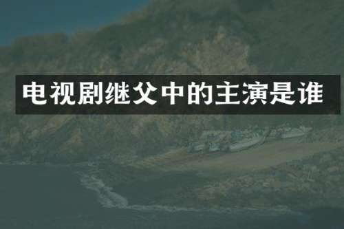 电视剧继父中的主演是谁