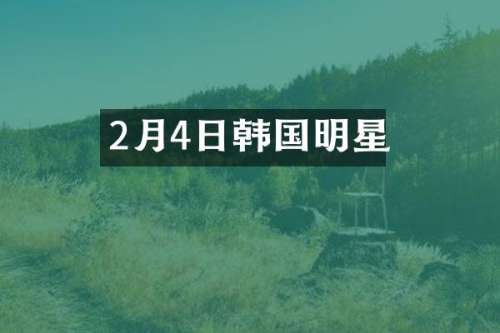 2月4日韩国明星