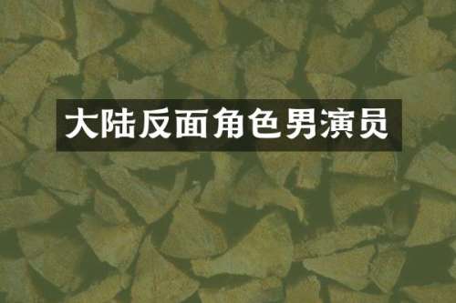 大陆反面角色男演员