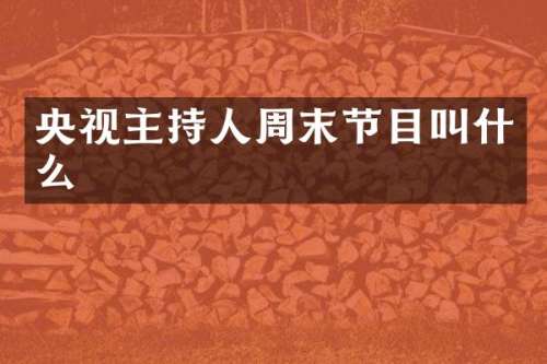央视主持人周末节目叫什么