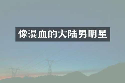 像混血的大陆男明星