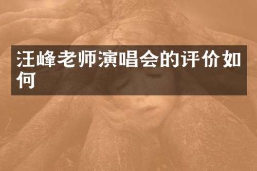 汪峰老师演唱会的评价如何
