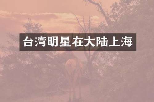 台湾明星在大陆上海