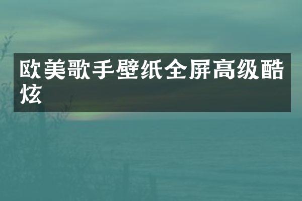 欧美歌手壁纸全屏高级酷炫