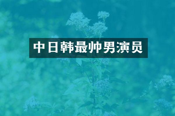 中日韩最帅男演员