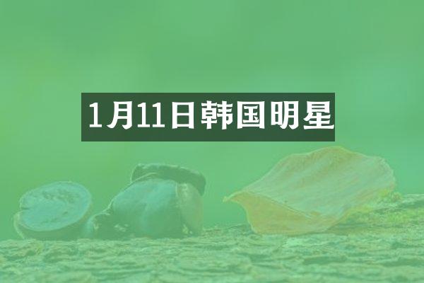 1月11日韩国明星