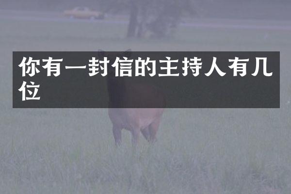 你有一封信的主持人有几位