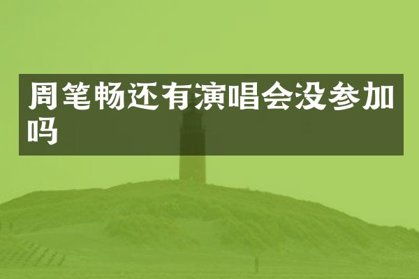 周笔畅还有演唱会没参加吗