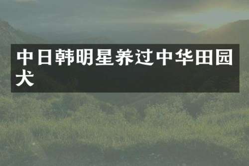 中日韩明星养过中华田园犬