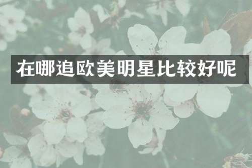 在哪追欧美明星比较好呢