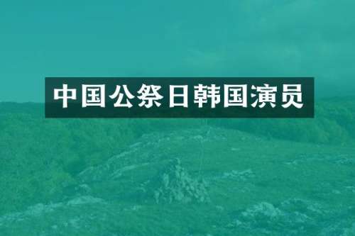 中国公祭日韩国演员