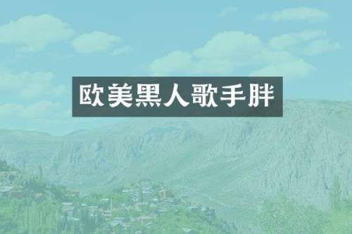 欧美黑人歌手胖
