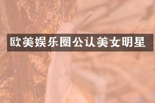 欧美娱乐圈公认明星