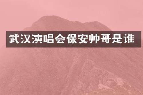 武汉演唱会保安帅哥是谁