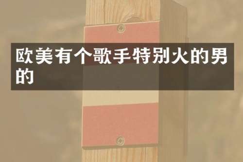 欧美有个歌手特别火的男的