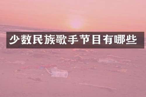 歌手节目有哪些