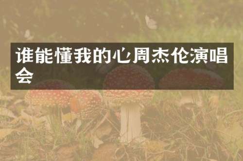 谁能懂我的心周杰伦演唱会