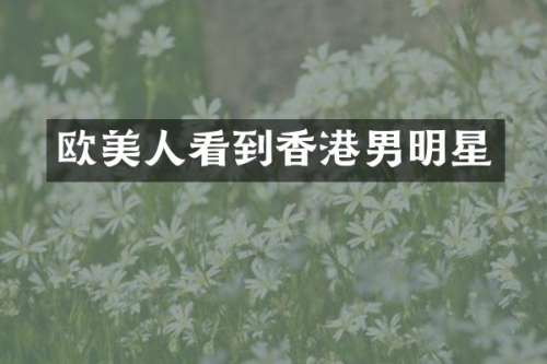 欧美人看到香港男明星