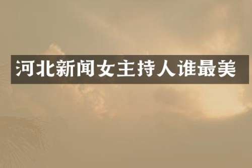 河北新闻女主持人谁最美