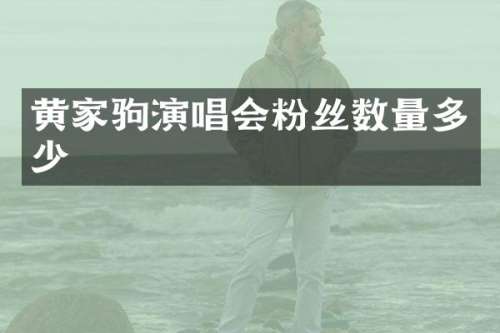 黄家驹演唱会粉丝数量多少