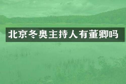 北京冬奥主持人有董卿吗