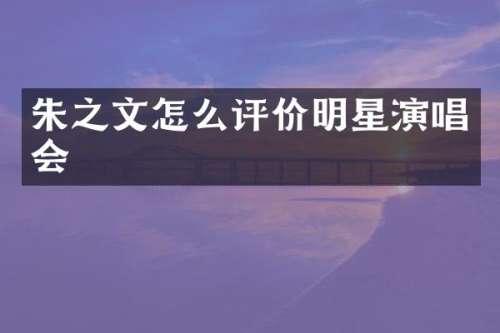 朱之文怎么评价明星演唱会