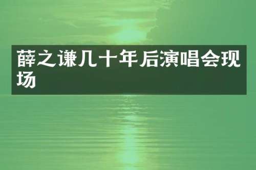 薛之谦几十年后演唱会现场