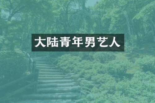 大陆青年男艺人