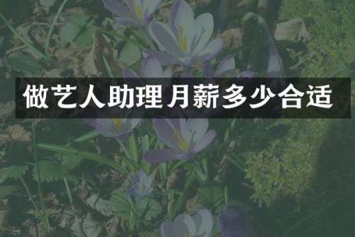 做艺人助理月薪多少合适