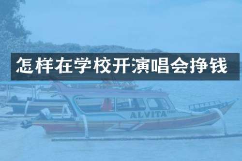怎样在学校开演唱会挣钱