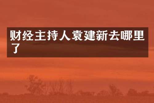 财经主持人袁建新去哪里了