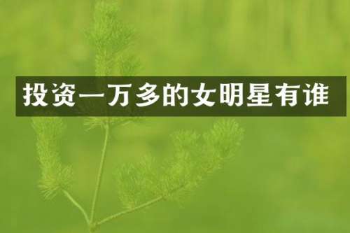 投资一万多的女明星有谁