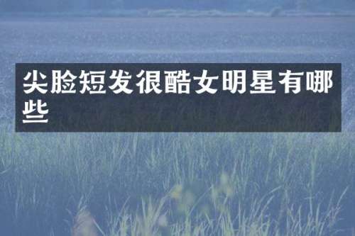 尖脸短发很酷女明星有哪些