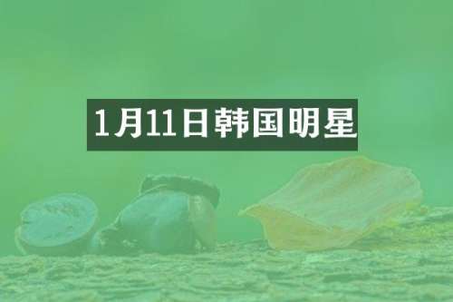 1月11日韩国明星