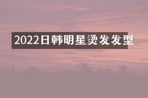 2022日韩明星烫发发型
