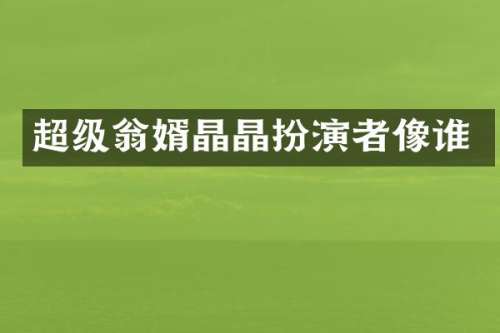 超级翁婿晶晶扮演者像谁